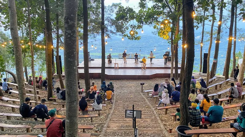 Puncak Pinus Becici-Wisata Terbaik di Jogja