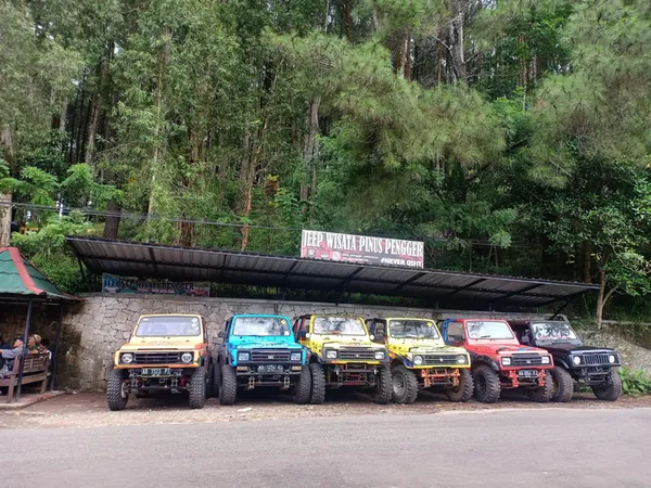 Jeep Wisata Hutan Pinus Pengger