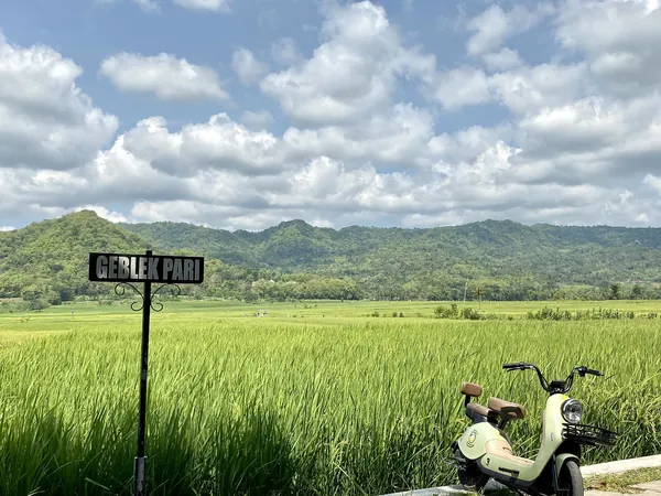 Geblek Pari Nanggulan - Tempat Healing di Jogja